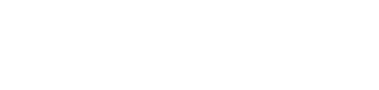 Solo Vuela